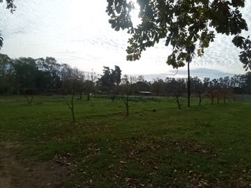 VENTA FRACCION DE CAMPO 2,8 Ha.  GRAL. RODRIGUEZ