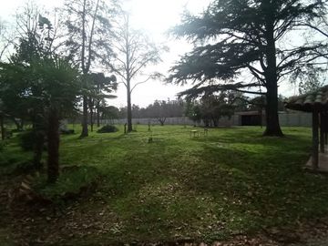 VENTA FRACCION DE CAMPO 2,8 Ha.  GRAL. RODRIGUEZ
