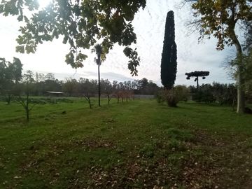 VENTA FRACCION DE CAMPO 2,8 Ha.  GRAL. RODRIGUEZ