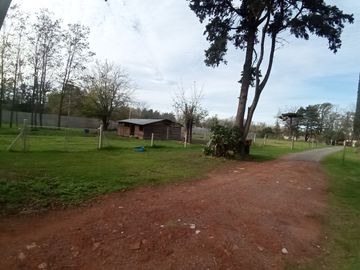 VENTA FRACCION DE CAMPO 2,8 Ha.  GRAL. RODRIGUEZ