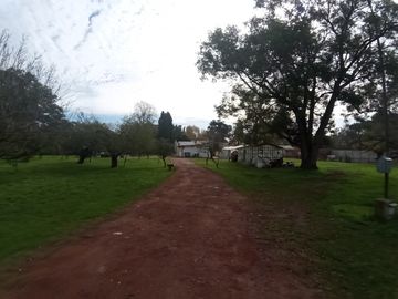 VENTA FRACCION DE CAMPO 2,8 Ha.  GRAL. RODRIGUEZ