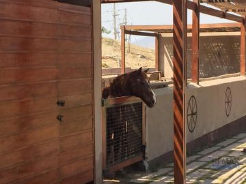 Se Vende Terreno De Campo A 5 Minutos Del Boulevard De Asia