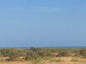 Terreno de Playa en Venta
