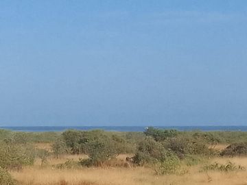 Terreno de Playa en Venta
