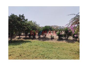 Terreno en Venta en Condominio Mar y Bosques - Punta Negra