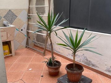 Departamento en Alquiler Córpac - San Isidro