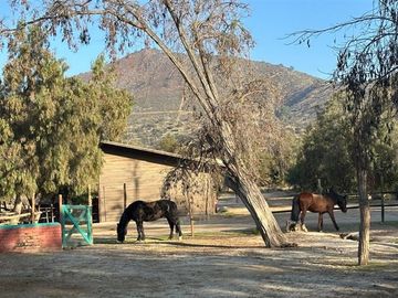 Parcela en Venta en Condominio Oasis de la Campana
