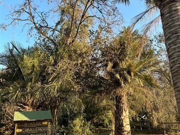 Parcela en Venta en Condominio Oasis de la Campana