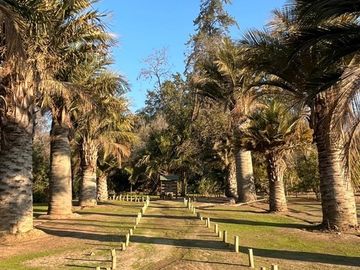 Parcela en Venta en Condominio Oasis de la Campana