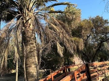 Parcela en Venta en Condominio Oasis de la Campana