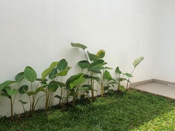 Rumah Scandinavian Di Kebayunan Depok