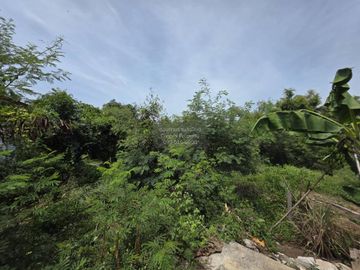 For Sale land area 1-3-90.7 Bang Sai Phra Nakhon Si Ayutthaya , Bang Sai , Bang Sai , Phra Nakhon Si Ayutthaya , CX-126152