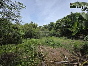 For Sale land area 1-3-90.7 Bang Sai Phra Nakhon Si Ayutthaya , Bang Sai , Bang Sai , Phra Nakhon Si Ayutthaya , CX-126152