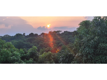 Venta de finca de 4754 M2 en 589 mill en La Mesa Cund.