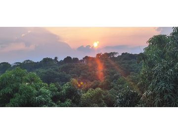 Venta de finca de 4754 M2 en 589 mill en La Mesa Cund.