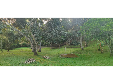 Venta de finca de 4754 M2 en 589 mill en La Mesa Cund.
