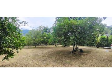 Venta de casa campestre de 2300 M2 en 1300 mill en San Joaquín La Mesa