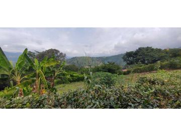 Venta de casalote de 1000 M2 en 180 mill en La Mesa Cund COL