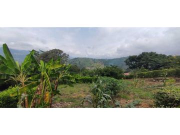 Venta de casalote de 1000 M2 en 180 mill en La Mesa Cund COL