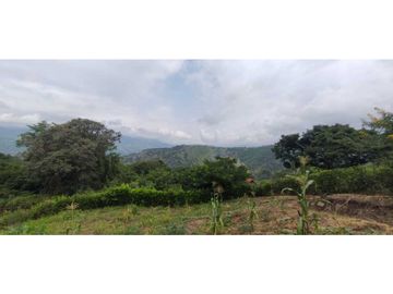 Venta de casalote de 1000 M2 en 180 mill en La Mesa Cund COL