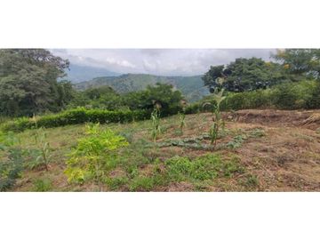 Venta de casalote de 1000 M2 en 180 mill en La Mesa Cund COL