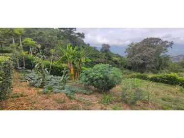 Venta de casalote de 1000 M2 en 180 mill en La Mesa Cund COL