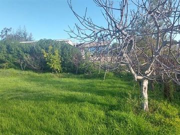 Terreno Construccion  en Venta en SE VENDE CASA CON GRAN TERRENO 679 M2 CON CASA