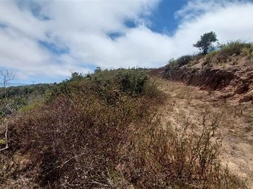 Terreno Construccion  en Venta en SE VENDE PARCELA DE AGRADO DE 10.082 M2 PICHICUY HUAQUEN LA LIGUA