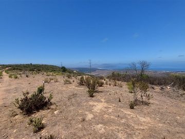 Terreno Construccion  en Venta en SE VENDE PARCELA DE AGRADO DE 10.082 M2 PICHICUY HUAQUEN LA LIGUA