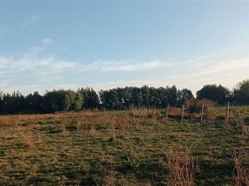 Terreno Construccion  en Venta en a 15 Kilómetros de San Carlos Ñuble Octava Región Camino Quilelto sector el Hualo