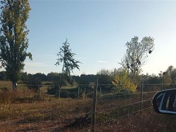 Terreno Construccion  en Venta en a 15 Kilómetros de San Carlos Ñuble Octava Región Camino Quilelto sector el Hualo