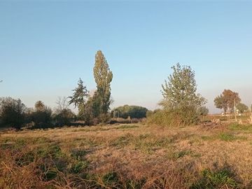 Terreno Construccion  en Venta en a 15 Kilómetros de San Carlos Ñuble Octava Región Camino Quilelto sector el Hualo