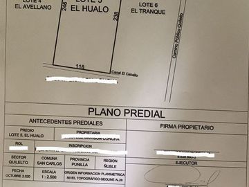 Terreno Construccion  en Venta en a 15 Kilómetros de San Carlos Ñuble Octava Región Camino Quilelto sector el Hualo