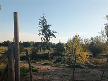 Terreno Construccion  en Venta en a 15 Kilómetros de San Carlos Ñuble Octava Región Camino Quilelto sector el Hualo