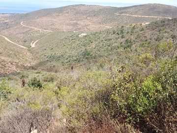 Parcela en Venta en SE VENDE PARCELA DE AGRADO DE 10.082 M2 PICHICUY HUAQUEN LA LIGUA