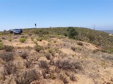 Parcela en Venta en SE VENDE PARCELA DE AGRADO DE 10.082 M2 PICHICUY HUAQUEN LA LIGUA