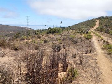 Parcela en Venta en SE VENDE PARCELA DE AGRADO DE 10.082 M2 PICHICUY HUAQUEN LA LIGUA