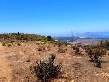Parcela en Venta en SE VENDE PARCELA DE AGRADO DE 10.082 M2 PICHICUY HUAQUEN LA LIGUA