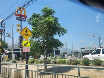 Departamento en Venta en LOMAS DEL PARQUE 89