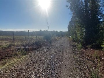 Agrícola en Venta en TERRENO DE 5,2 HECTÁREAS EN VENTA – SECTOR MILLAPOA, NACIMIENTO