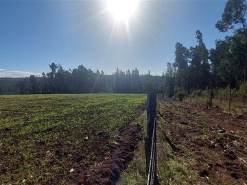 Terreno Construccion  en Venta en TERRENO DE 5,2 HECTÁREAS EN VENTA – SECTOR MILLAPOA, NACIMIENTO