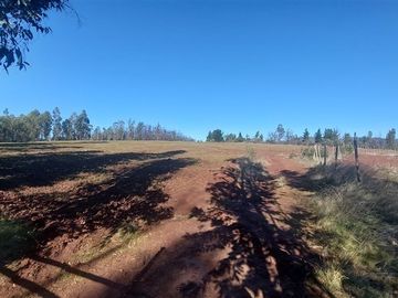 Terreno Construccion  en Venta en TERRENO DE 5,2 HECTÁREAS EN VENTA – SECTOR MILLAPOA, NACIMIENTO