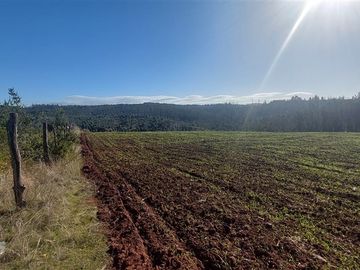 Terreno Construccion  en Venta en TERRENO DE 5,2 HECTÁREAS EN VENTA – SECTOR MILLAPOA, NACIMIENTO