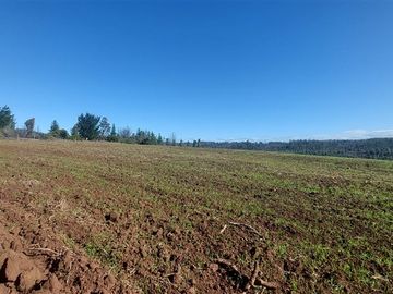 Terreno Construccion  en Venta en TERRENO DE 5,2 HECTÁREAS EN VENTA – SECTOR MILLAPOA, NACIMIENTO
