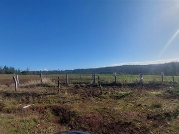 Terreno Construccion  en Venta en TERRENO DE 5,2 HECTÁREAS EN VENTA – SECTOR MILLAPOA, NACIMIENTO