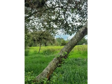 SE VENDE HERMOSO LOTE ESQUINERO EN LA VEREDA EL ALTO DEL AGUILA