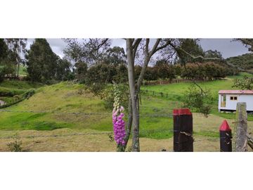 SE VENDE HERMOSO LOTE ESQUINERO EN LA VEREDA EL ALTO DEL AGUILA