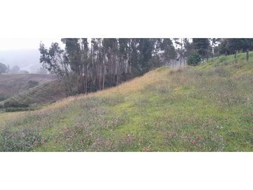 SE VENDE HERMOSO LOTE ESQUINERO EN LA VEREDA EL ALTO DEL AGUILA
