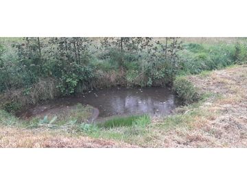 SE VENDE HERMOSO LOTE ESQUINERO EN LA VEREDA EL ALTO DEL AGUILA