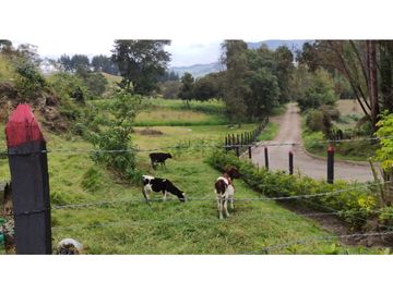 SE VENDE HERMOSO LOTE ESQUINERO EN LA VEREDA EL ALTO DEL AGUILA